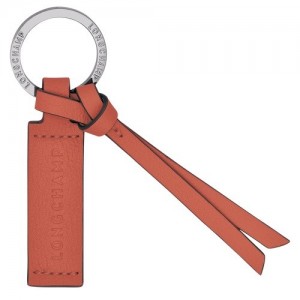 Breloczki Longchamp 3d Męskie Brązowe | SN-LCMP49293