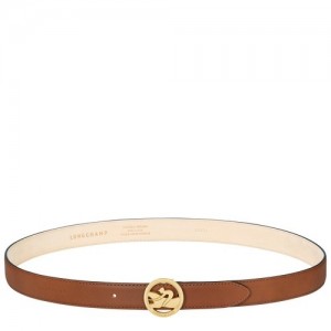 Paski Longchamp Box-trot Damskie Brązowe | SN-LCMP48963