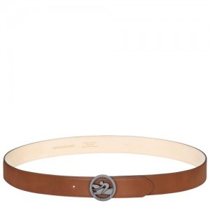 Paski Longchamp Box-trot Męskie Brązowe | SN-LCMP49436