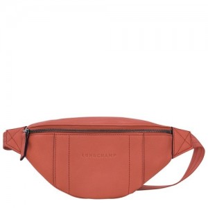 Torba Na Talię Longchamp 3d S Damskie Brązowe | SN-LCMP48094