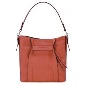 Torby Przez Ramię Longchamp 3d M Hobo Damskie Brązowe | SN-LCMP48058