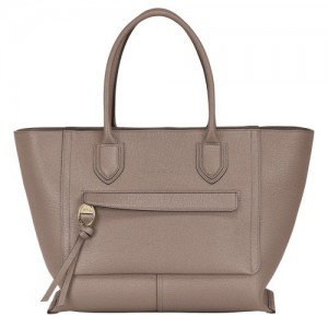 Torebka Longchamp Mailbox L Damskie Szare Brązowe | SN-LCMP47697