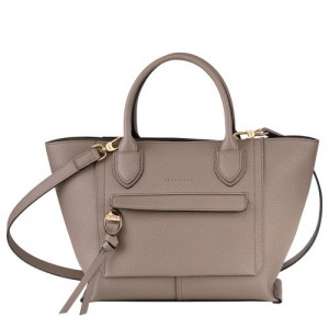 Torebka Longchamp Mailbox M Damskie Szare Brązowe | SN-LCMP47698