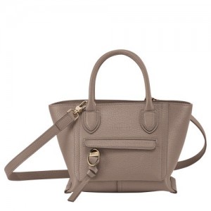 Torebka Longchamp Mailbox S Damskie Szare Brązowe | SN-LCMP47699