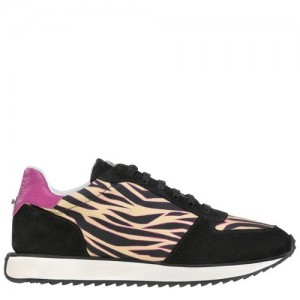 Trampki Longchamp Le Pliage Kolekcja Damskie Kolorowe | SN-LCMP48793